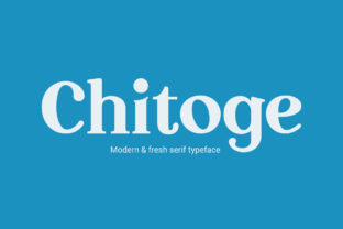 Chitoge Font Review: A Bold, Modern Serif for Creative Branding