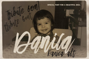 Danica Font: Bold Handwritten Style