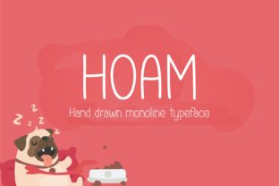 Hoam Font: Handwritten Elegance for Web Design