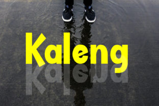 Kaleng: A Modern Sans Serif for Creative Projects