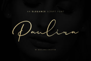 Paulina Font: A Handwritten Typeface for Stronger Campaigns
