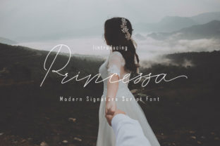 Princessa Font: Elegant Script for Campaign Design